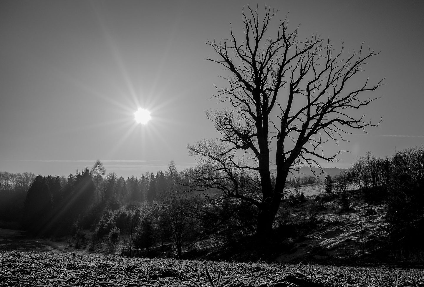 death - Dr. Matthias Ripp - flickr - CC BY 2.0